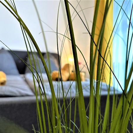 Gemuetliches Studio Im Bayerwald +Pool +Sauna +Wifi Zwiesel Buitenkant foto