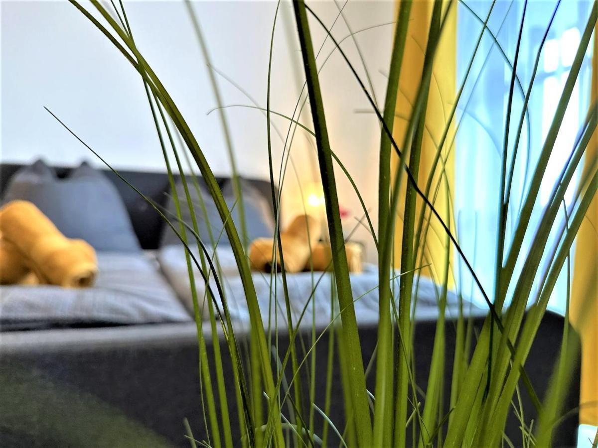 Gemuetliches Studio Im Bayerwald +Pool +Sauna +Wifi Zwiesel Buitenkant foto